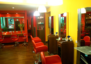 �Ż�ɽׯ��������